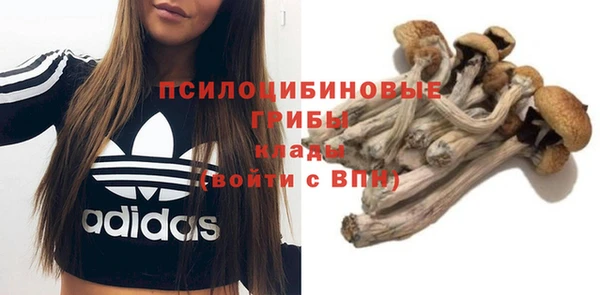 шишки Липки