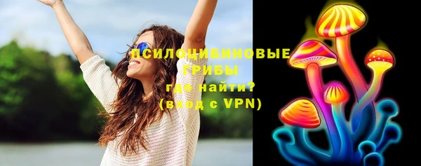 шишки Липки